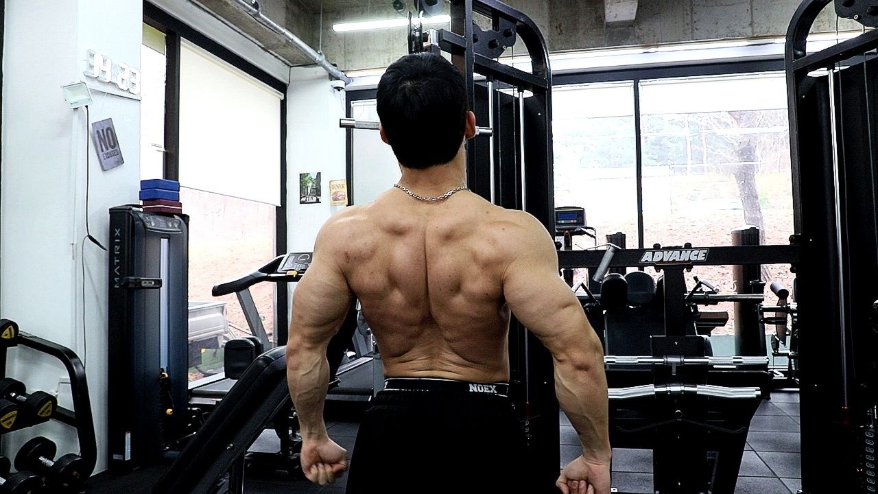 완벽한 등 하부
