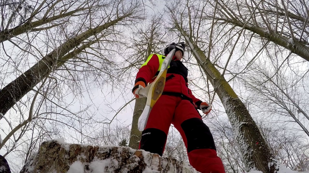 Wycinka w zimowej scenerii. Treework - C.C. Catch.