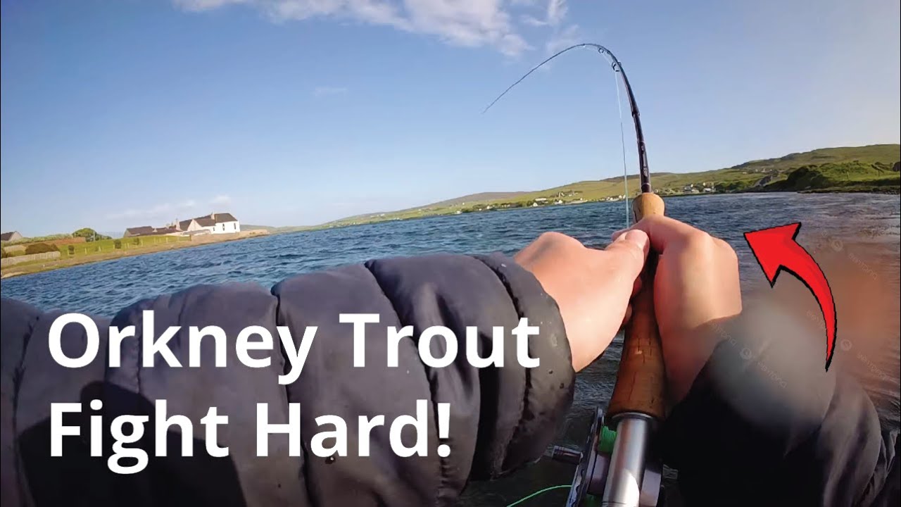 Fly Fishing for Sea Trout in Orkney [Explosive Takes In Wild Water]