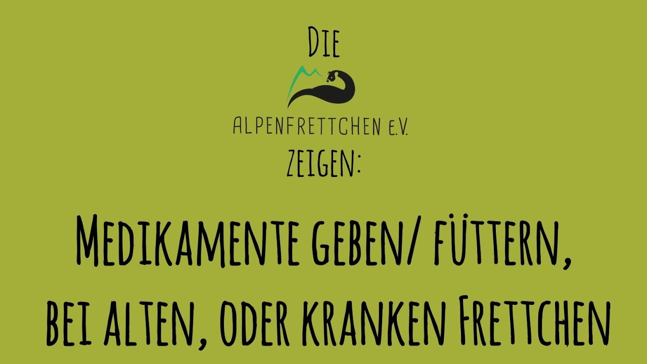 Wie füttert man kranke Frettchen? Wie nehmen sie Medizin? Wir zeigen wie man Fleischbrei herstellt.