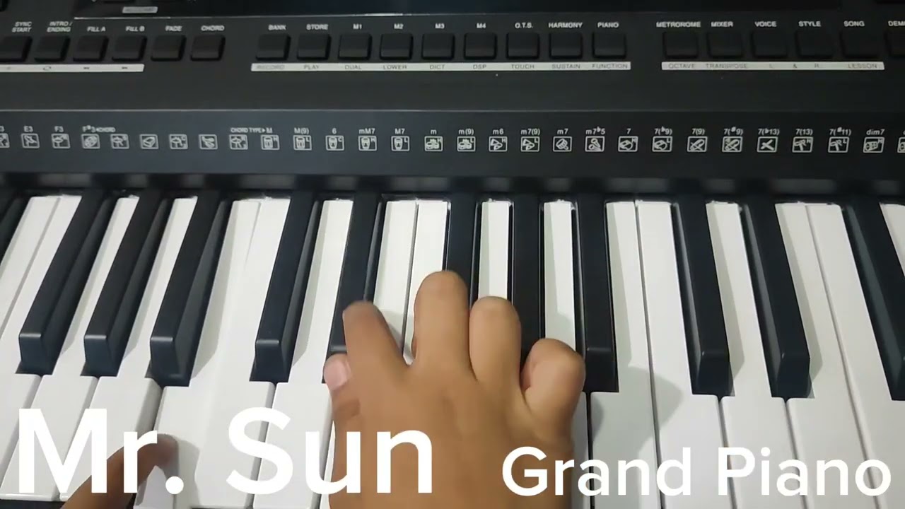 Sprunki Sounds recreated in real Life! (Check in Description) 