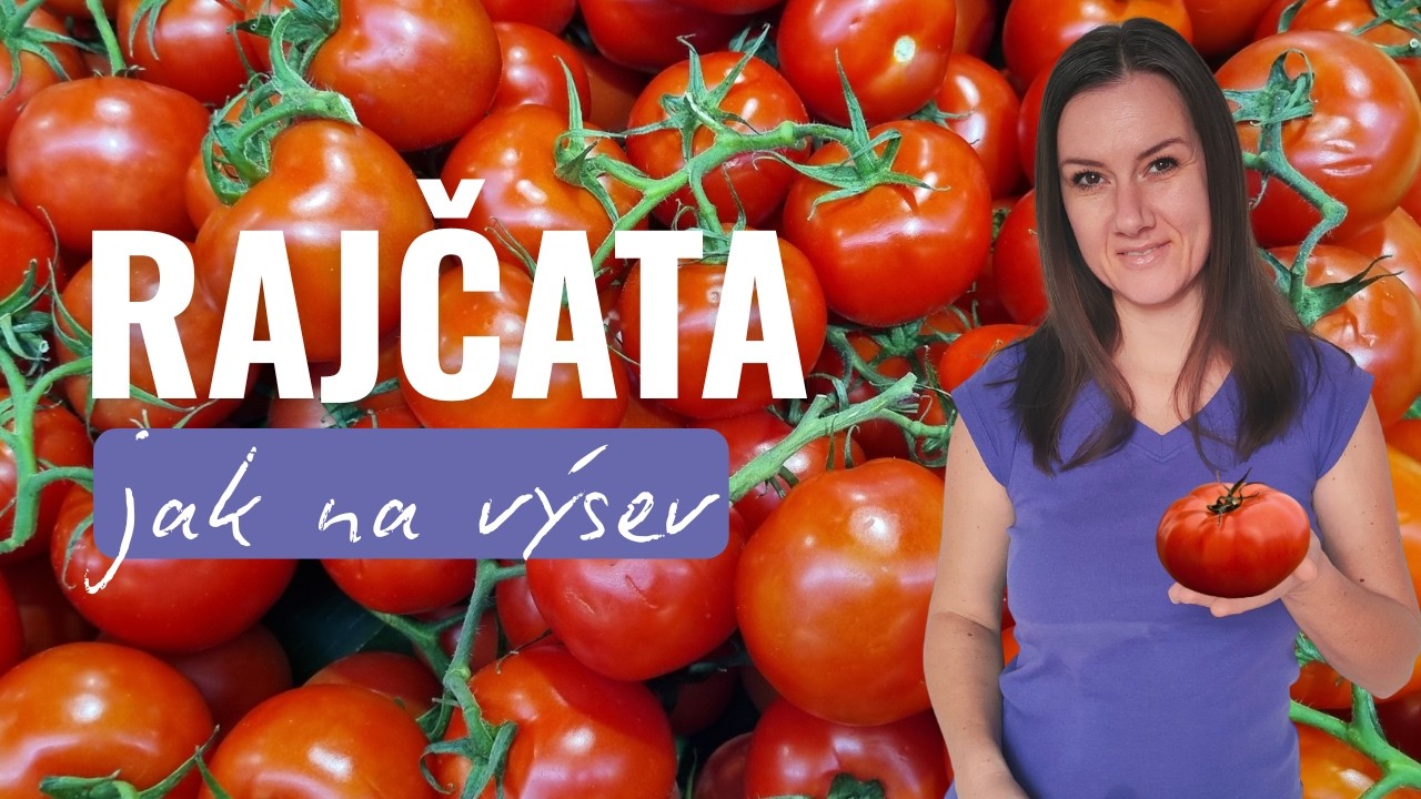 Rajčata: jak na výsev