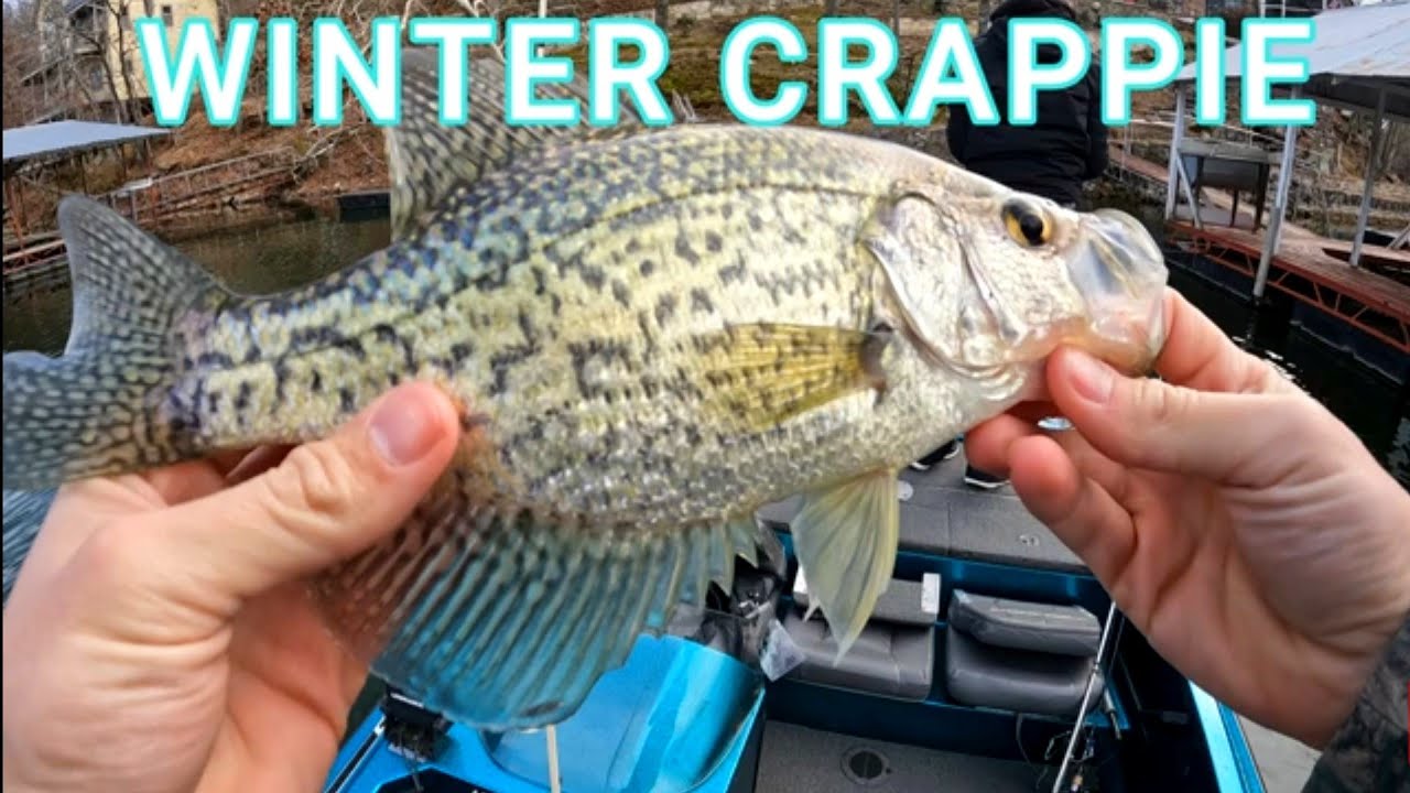 WINTER CRAPPIE FISHING | DEEP WATER | Lake of the Ozarks