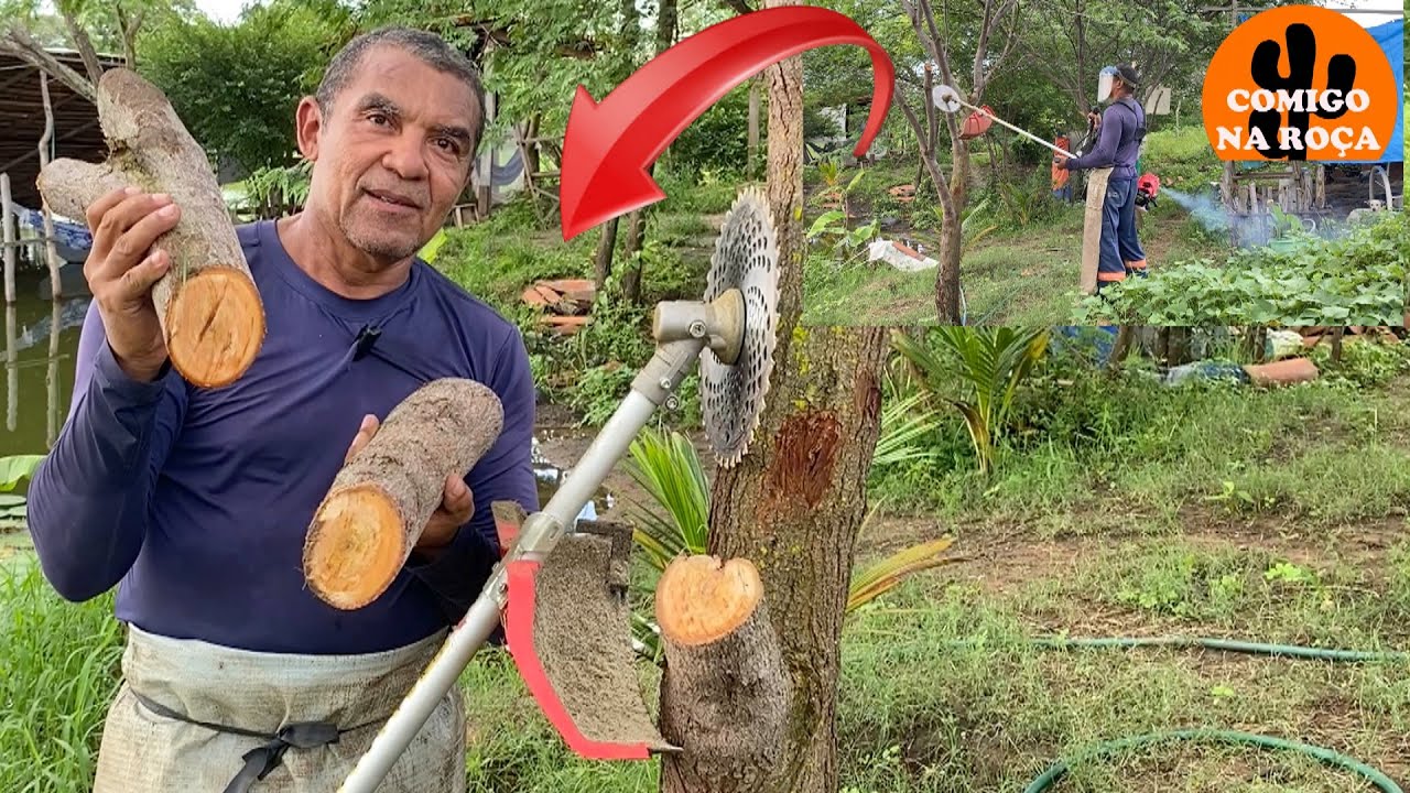 ROÇADEIRA TOYAMA TBC43X CORTANDO GALHO GROSSO COM DISCO DE CORTE 40 DENTES.