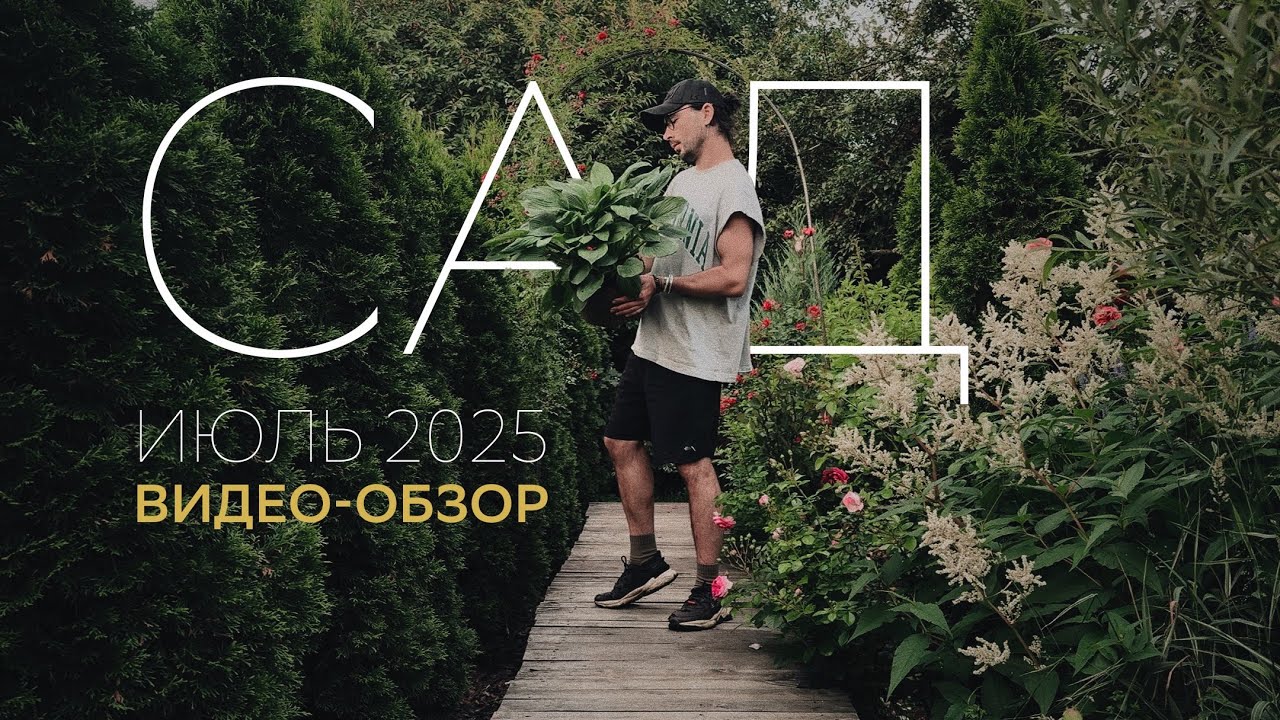 ОБЗОР САДА. июль 2025