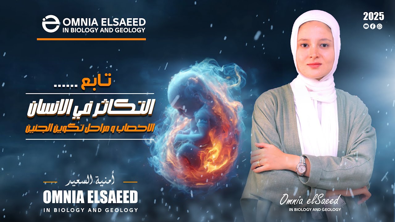 التكاثر في الانسان الاخصاب ومراحل تكوين الجنين الصف الثالث الثانوي 2025