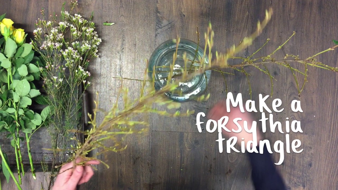 Forsythia, roses, lilies, wax flower, alstro