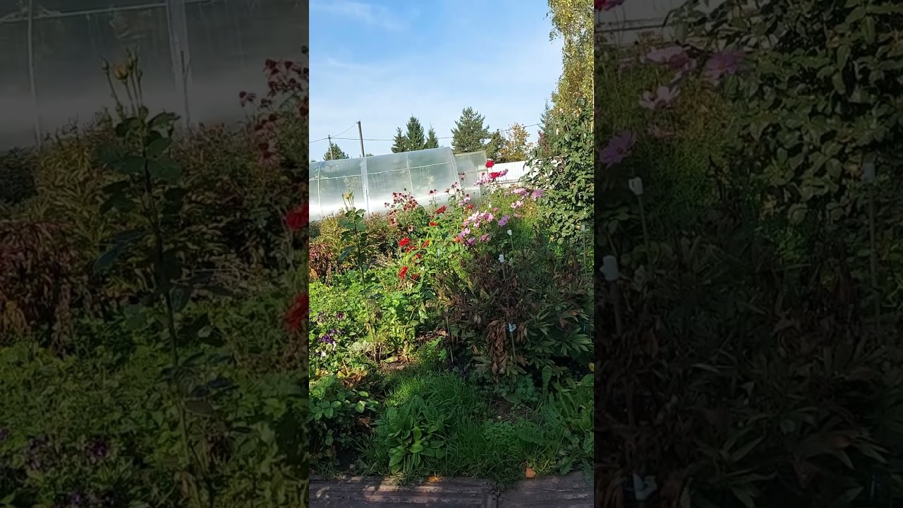 Все об отдыхе в Кучугурах