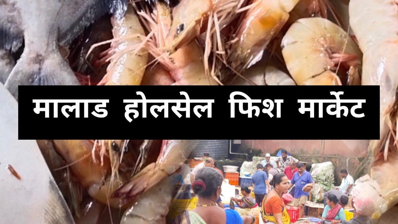 #मालाड होलसेल मच्छी मार्केट | Malad west fish market #