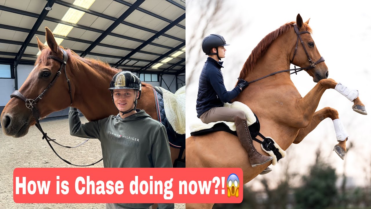 How To Start Riding Bitless + Chase Update👏
