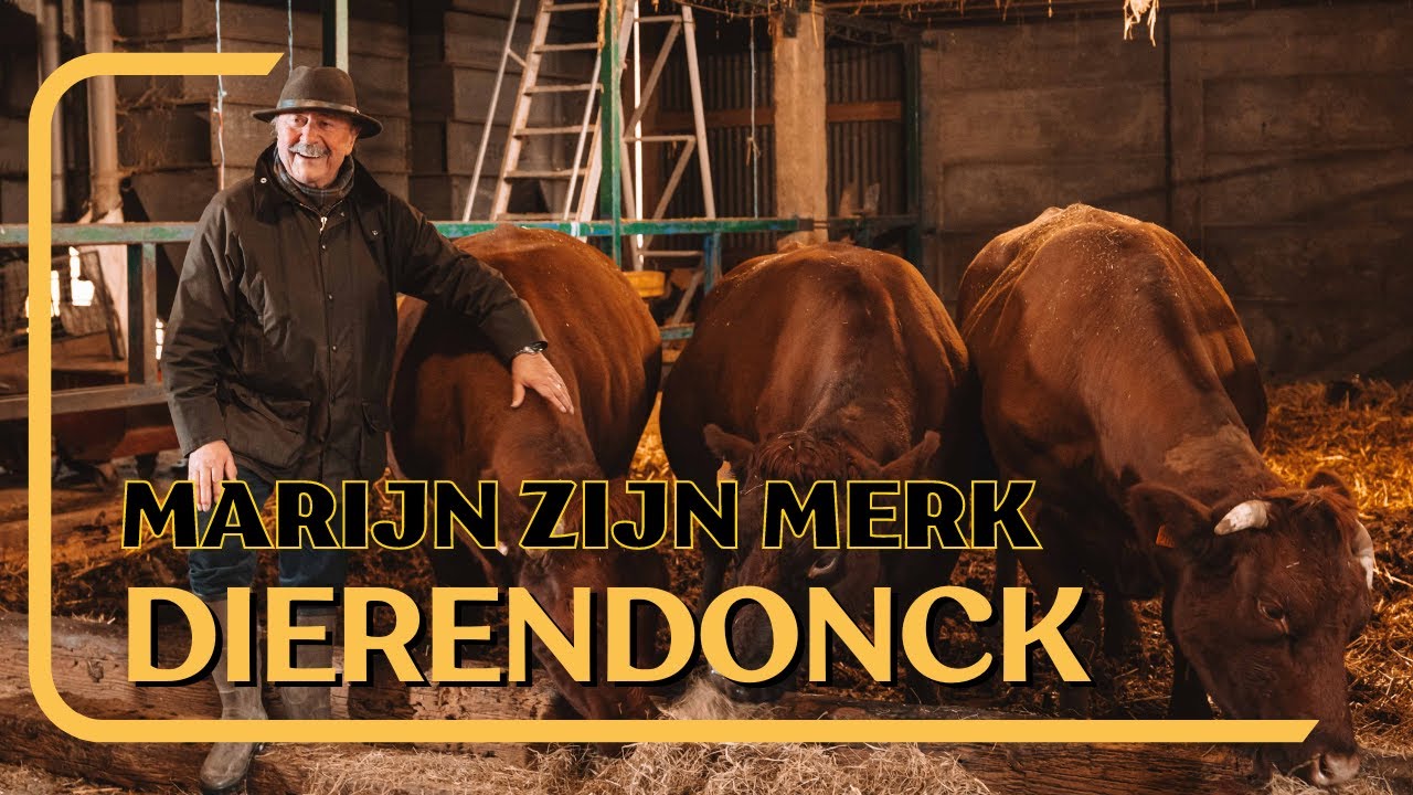 Marijn zijn Merk - Dierendonck (Kerstspecial VTM 25/12/2023)