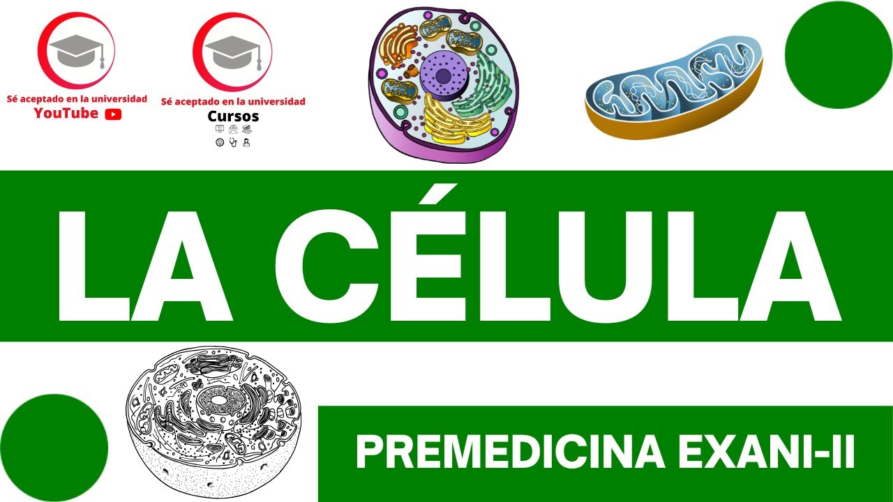 TIPOS DE CÉLULAS, ESTRUCTURA Y FUNCIÓN CELULAR | CLASE 6 DEL CURSO DE PREMEDICINA PARA EXANI-II