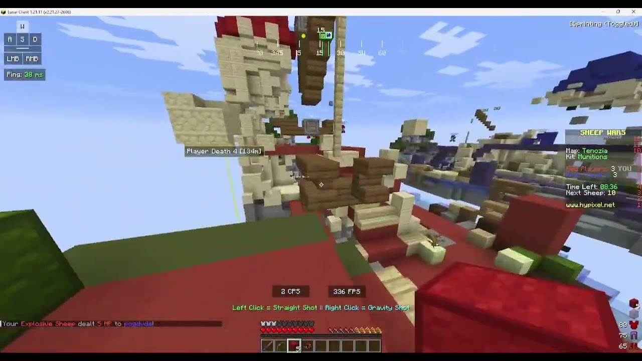 Sheep Wars is chaos (ft. MR_Johku)