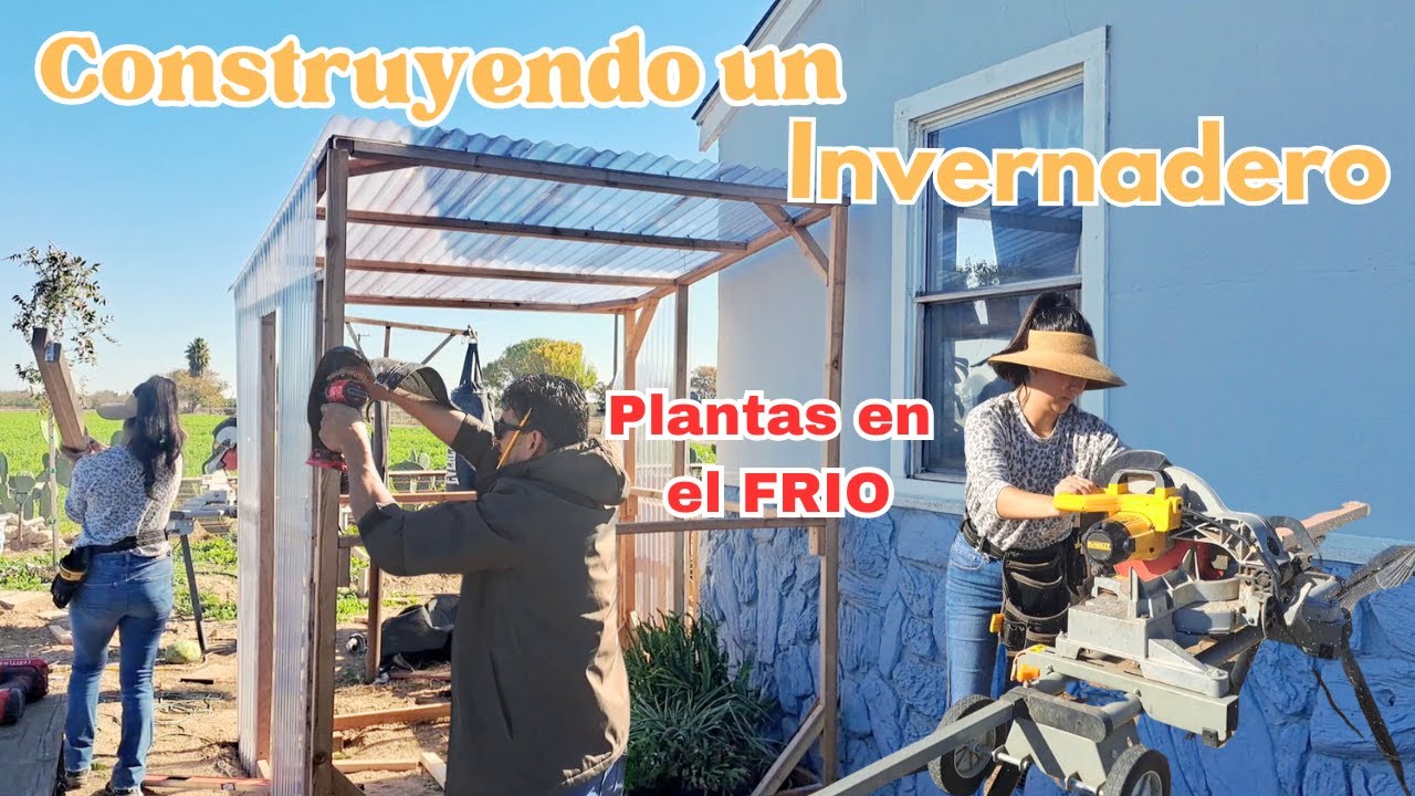 Plantas en el Frio🪴🥶 || Invernadero con Bajo Presupuesto|| #plantas #jardineria #jardin #plantlover