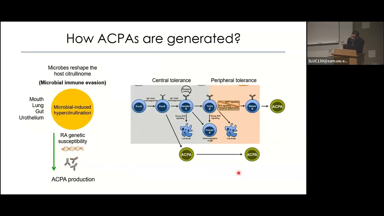 UW Rheumatology Grand Rounds - Felipe Andrade, 5/6/2025