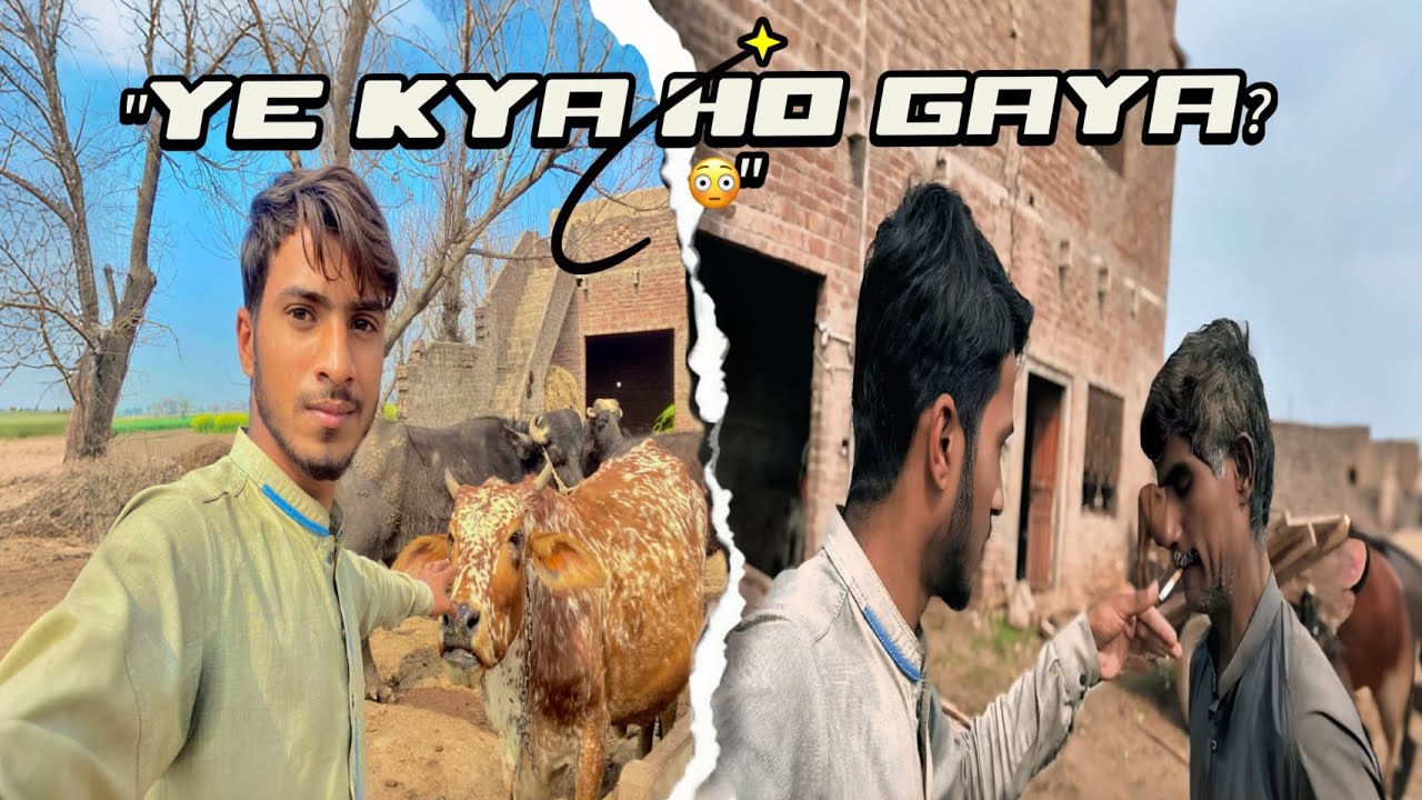 Ye Kya Ho Gaya? 😳 Uncle Gusse Mein Ho Gaya | Village Vlog