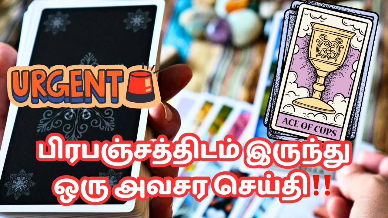 பிரபஞ்சத்திடம் இருந்து ஒரு அவசர செய்தி‼️