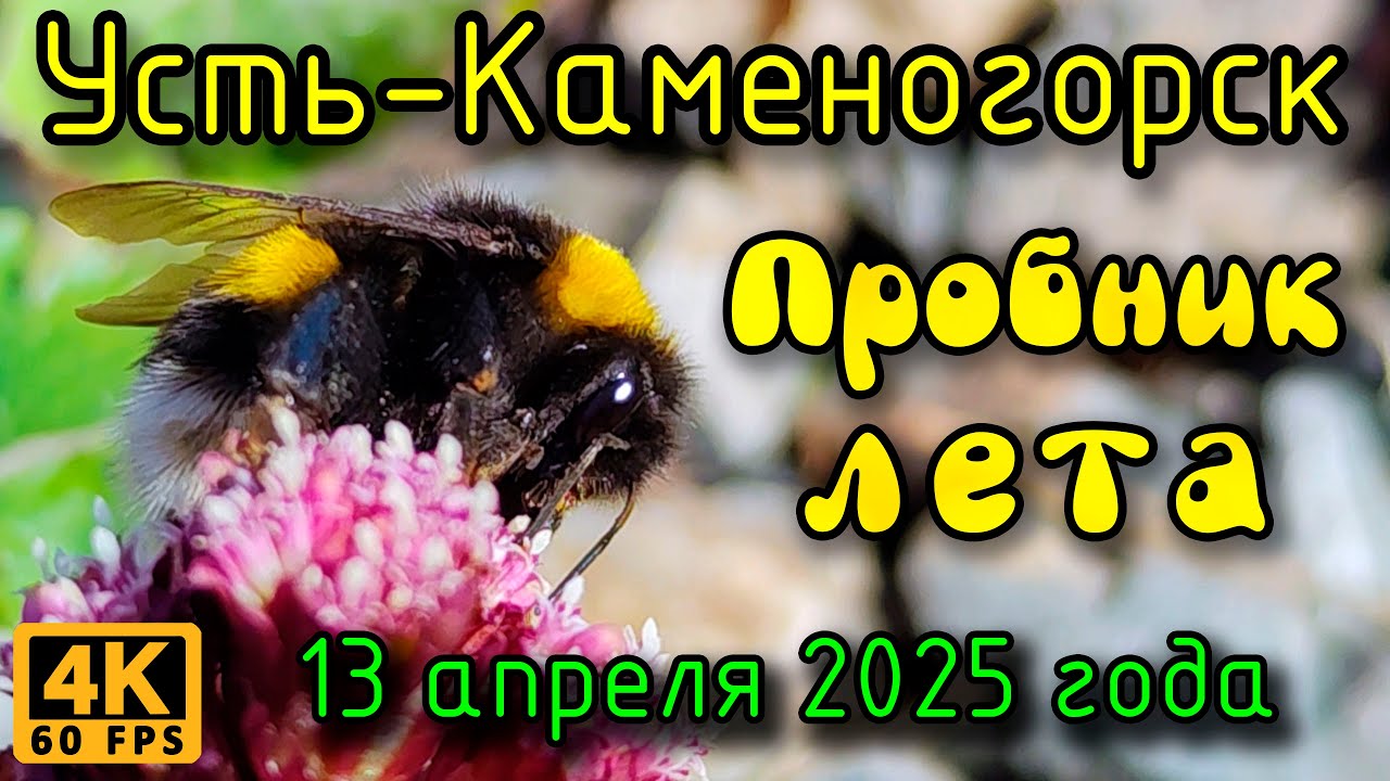 Пробник лета, Усть-Каменогорск. (4К), 13 апреля 2025 года.