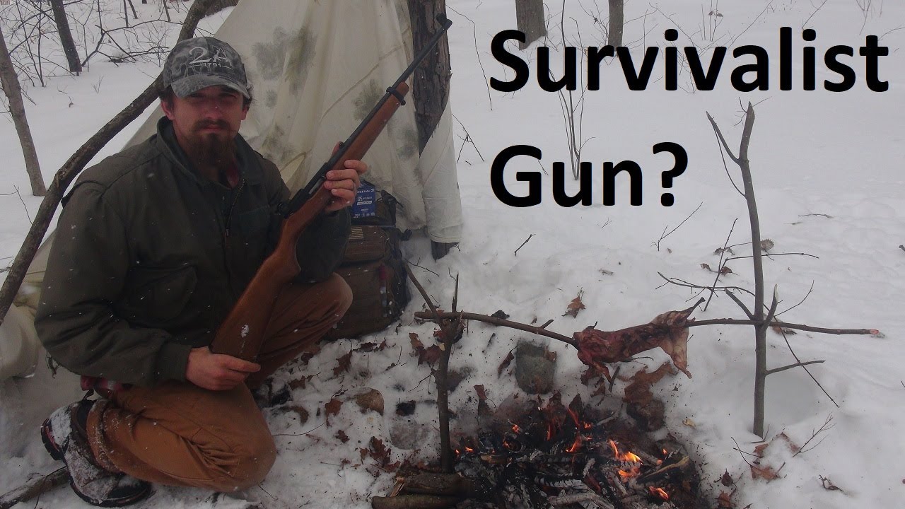 Ruger 10/22 для SHTF, Лучший 22LR?