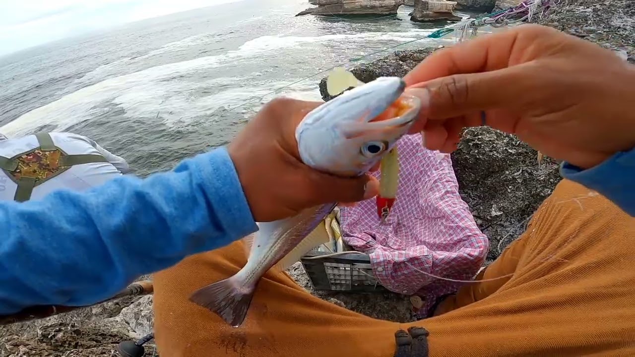 Pesca de cachema 