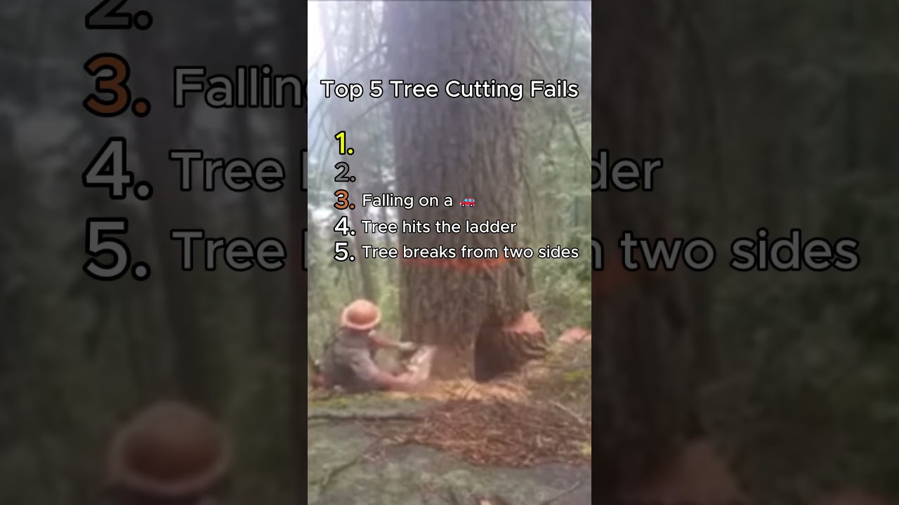 Top 5 Tree Cutting Fails! #youtubeshorts #shorts #treecutting
