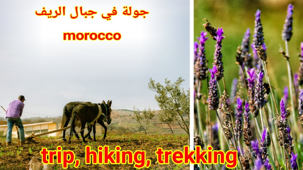 مناظر طبيعية خلابة في الريف ومعالم تاريخية تستحق الإستكشاف إقليم الحسيمة المغرب