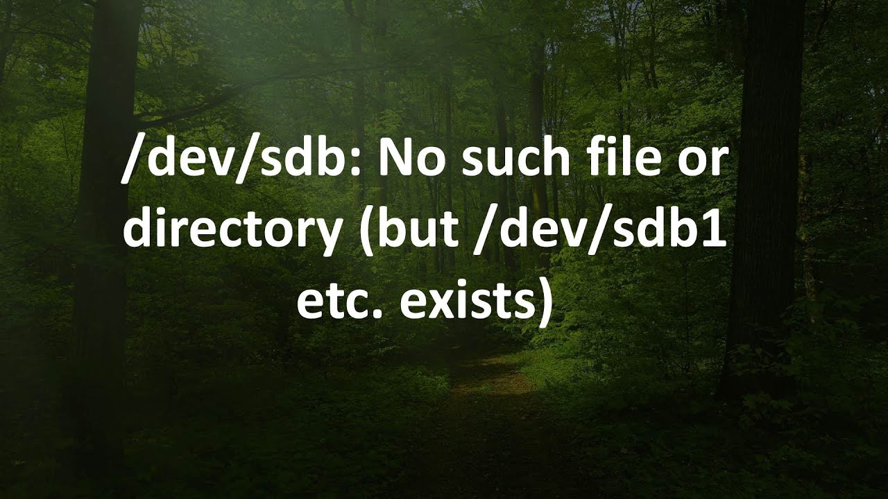 /dev/sdb: No such file or directory (but /dev/sdb1 etc. exists)
