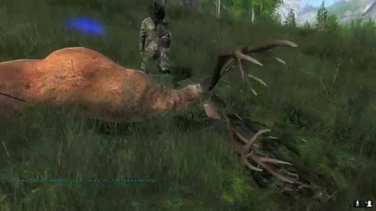 The Hunter 2015 - Magyar Vad&aacute;szt&aacute;rsas&aacute;g*