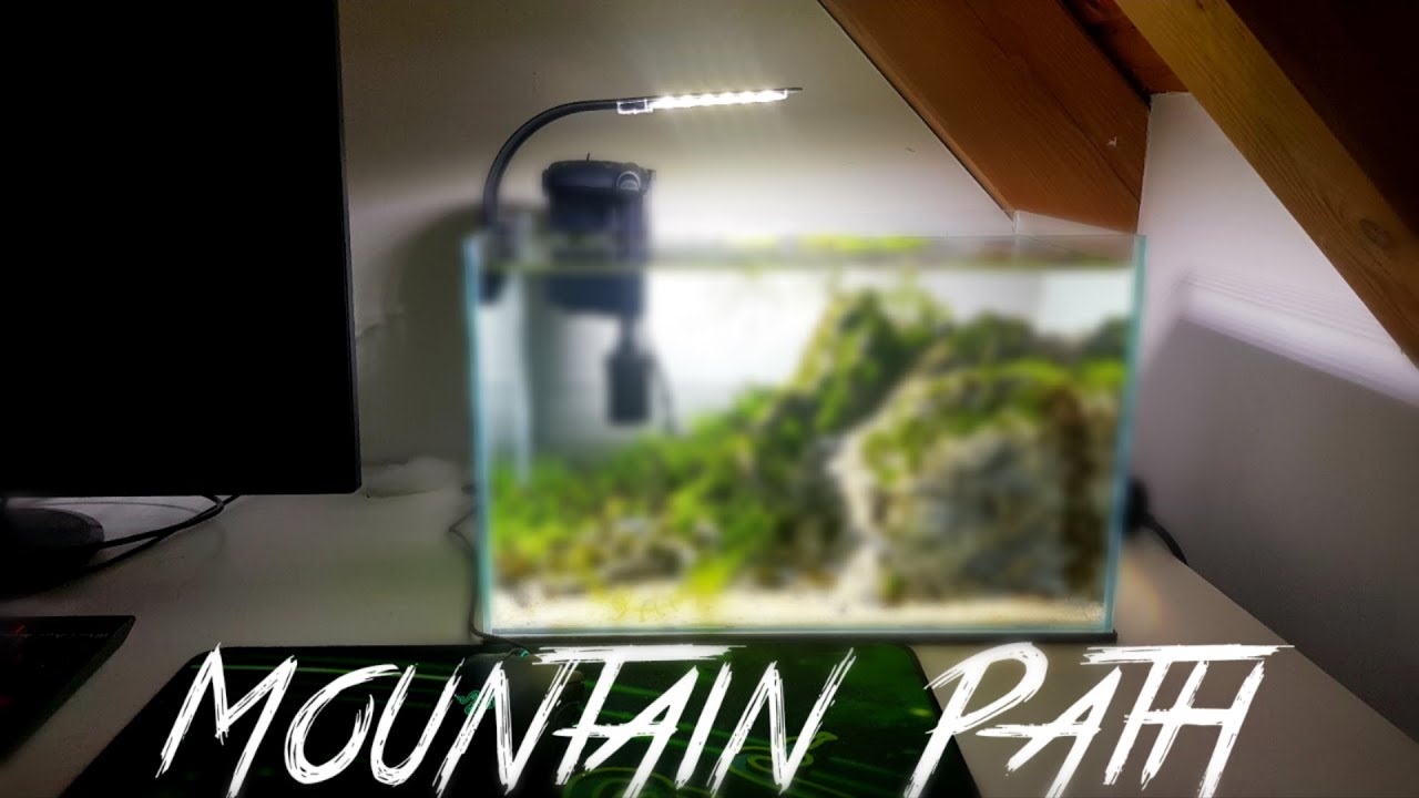 How to aquascape a Nano aquarium with Seiryu stone - Step by Step Tutorial - 40 cm Shrimptank