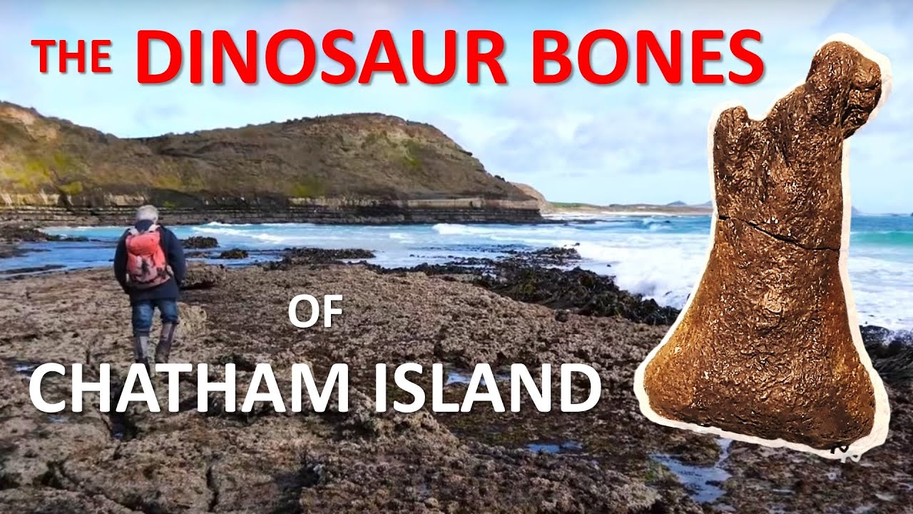 The Chatham Island Dinosaur Locality