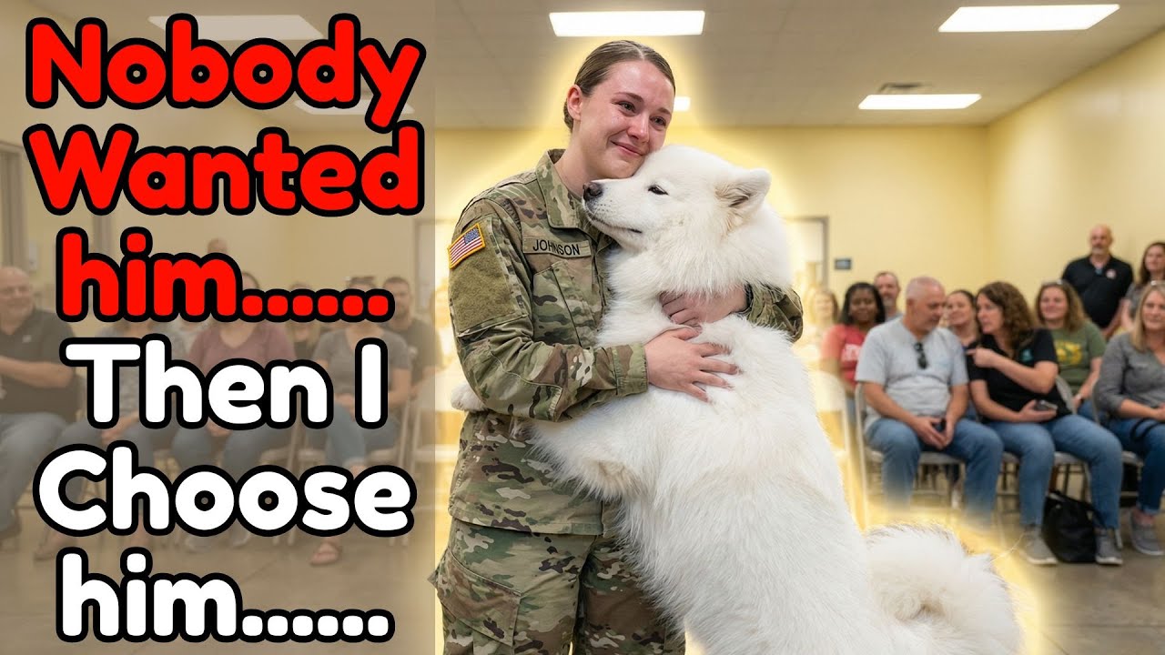 When Dogs Choose Their Humans — Emotional December Adoption Memories