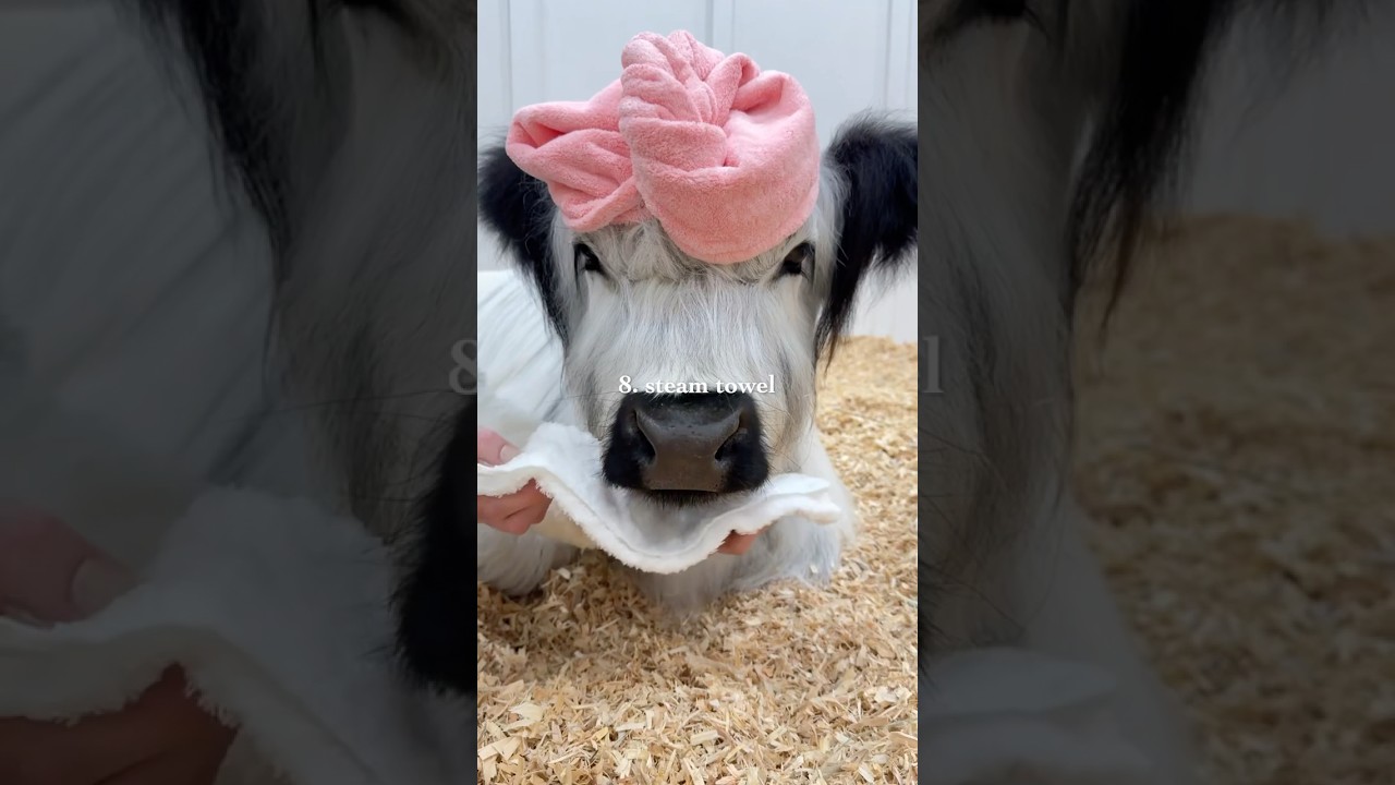 My Cows 10 Step Hair Care Routine 🫧🎀