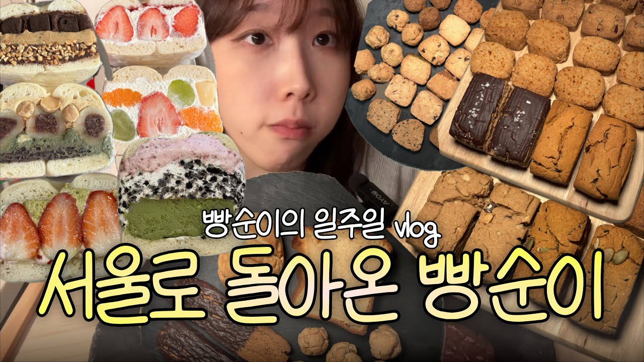 서울 올라온 빵순이의 일주일 vlog (투떰즈업, 이웃집통통이, 1994양과점, 여름빵학, 리브인오후 등)