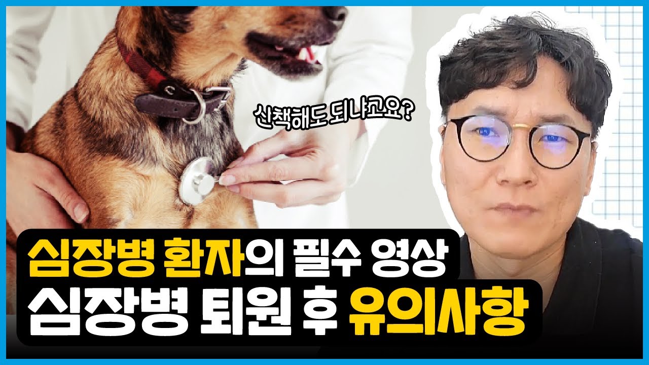 심장병 퇴원 후 유의사항!🚨ㅣ일주일 동안 보호자의 역할ㅣ폐수종 위험해요!🙅🏻‍♂️ㅣ심장병 사료ㅣ호흡수 재는 법?🏥