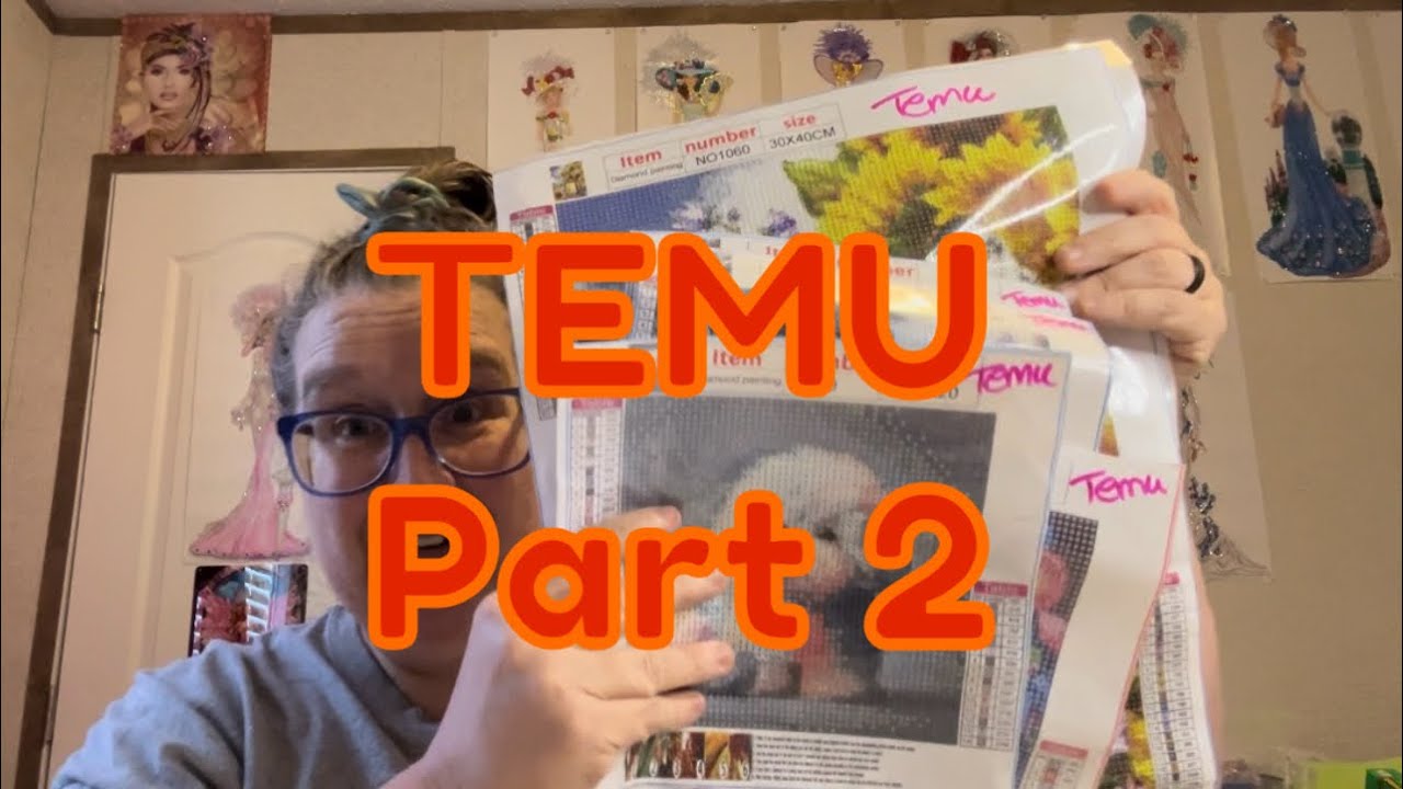 Diamond Painting Haul/Unboxing-Temu Part 2