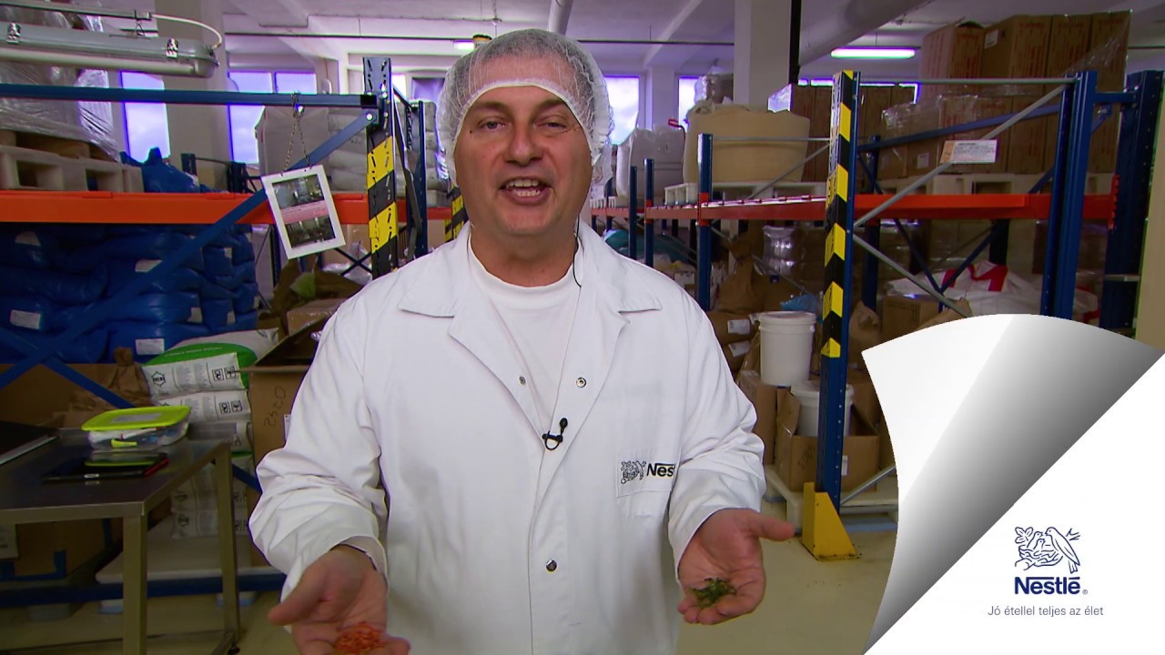 Így készülnek a MAGGI termékek – MAGGI gyárlátogatás Gyetván Csabával