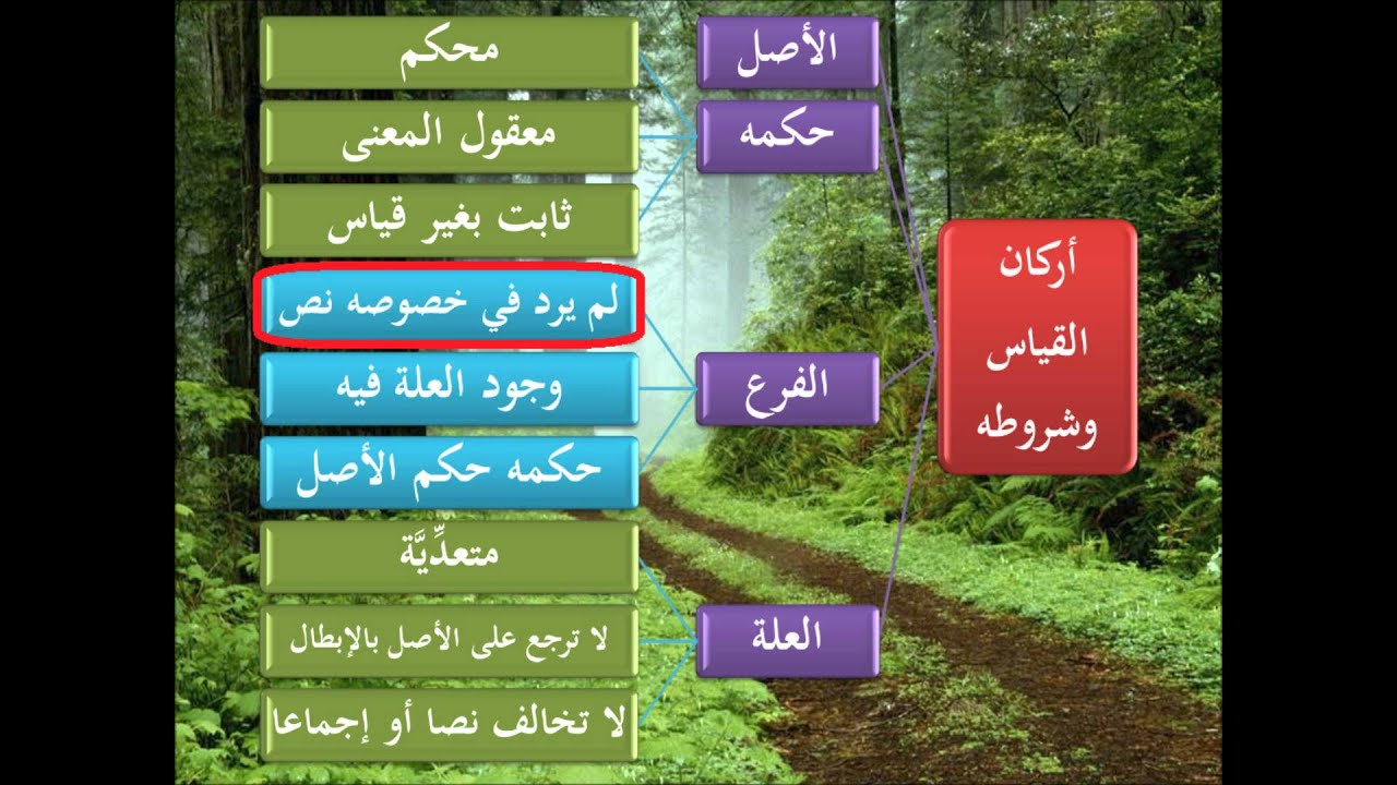 الطريق إلى علم أصول الفقه24 - القياس - عامر بهجت