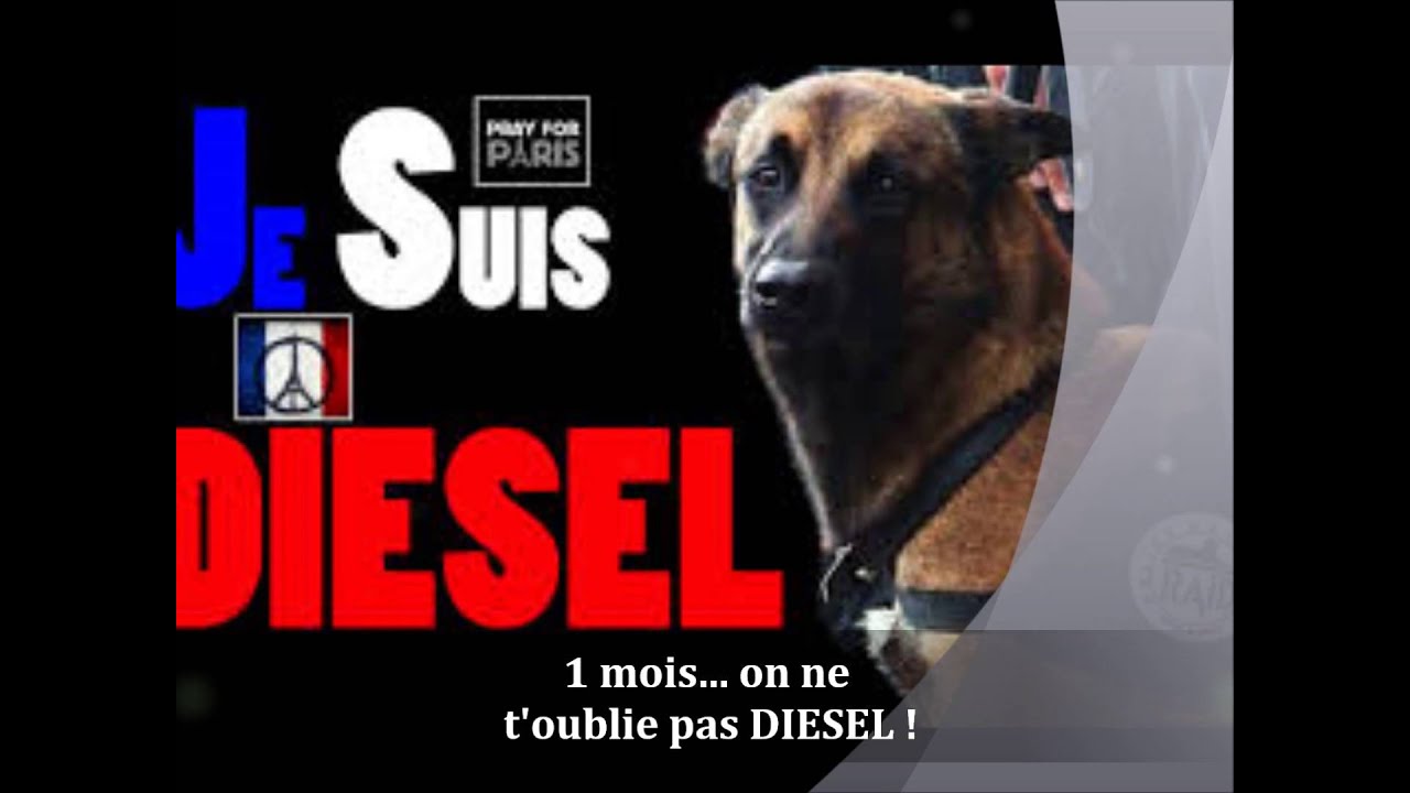 RIP DIESEL