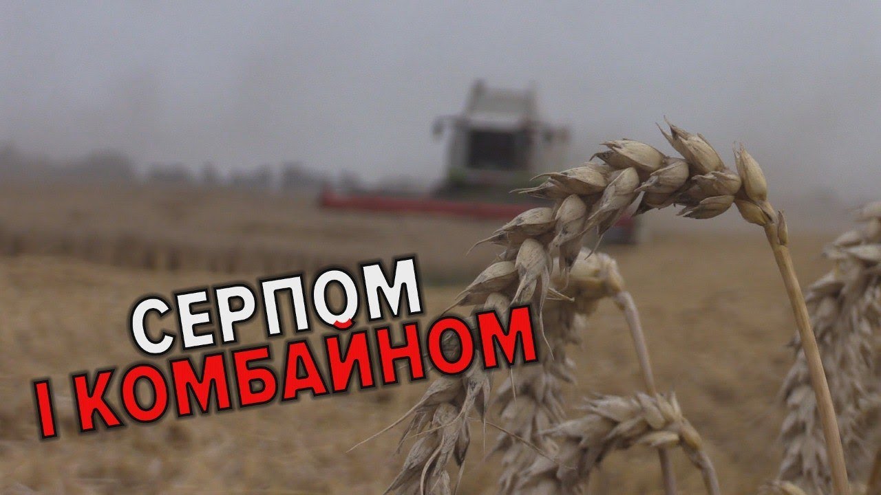 ЗБИРАЮТЬ ВРОЖАЙ З НАЙМЕНШИМИ ВТРАТАМИ: жнива на Черкащині – повним ходом