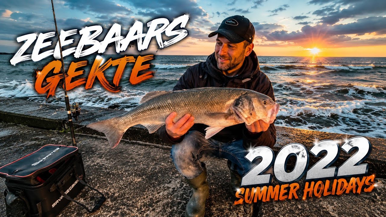 Zeebaars gekte summer 06-2022, #peche du bar au leurre #fishing