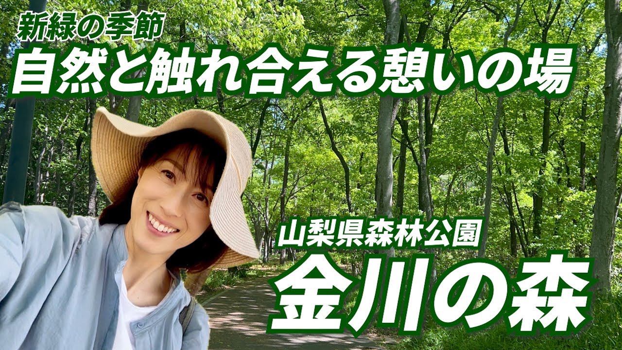 #108 【金川の森】新緑の季節、混まずに楽しめる穴場紹介！
