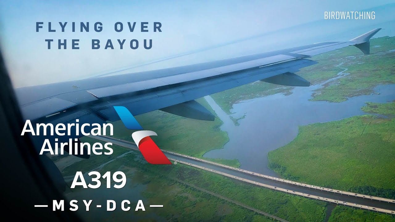 American Airlines Airbus A319 | New Orleans MSY - Washington National DCA – N763US