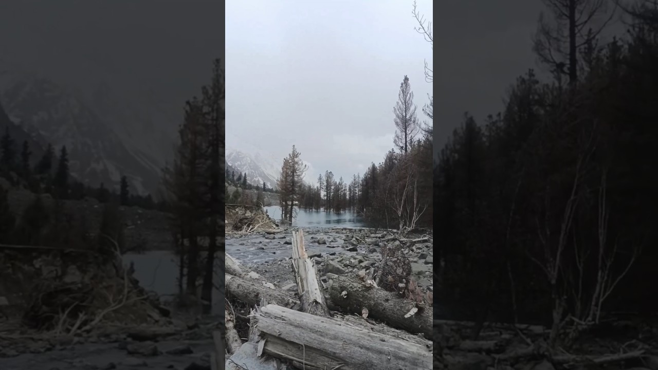 Naltar Valley | Naltar valley | Satrangi lake | Crystal Lake | Travel Off Road