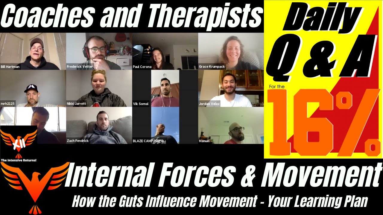 Internal Forces (Guts) Influence on Movement - Learning Plans - BillHartmanPT.com Q&A for The 16%