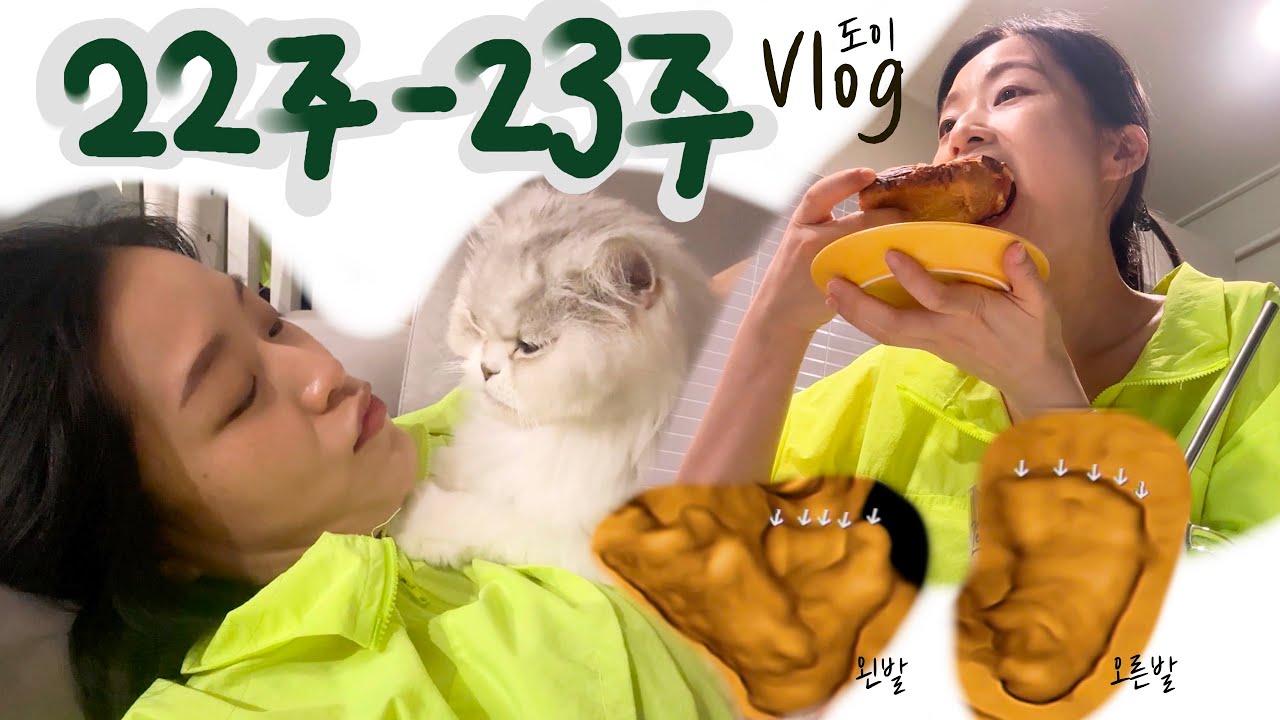 VLOG 22주-23주차 임산부 계속 먹고 산책하고 고양이랑 함께 하는 영상 : 환도선다, 무한 소세지빵과 핫도그, 카이막, 덮죽, 칸타타제로아이크림, 왓더핫치킨 :첫 입체초음파