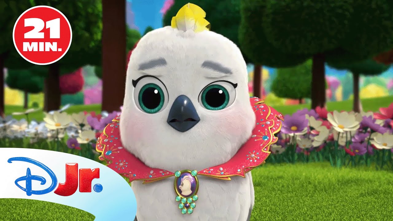 SUPERKITTIES: ¡Los mejores momentos de Zsa-Zsa! 🦜💖 | RECOPILACIÓN | @DisneyJuniorES