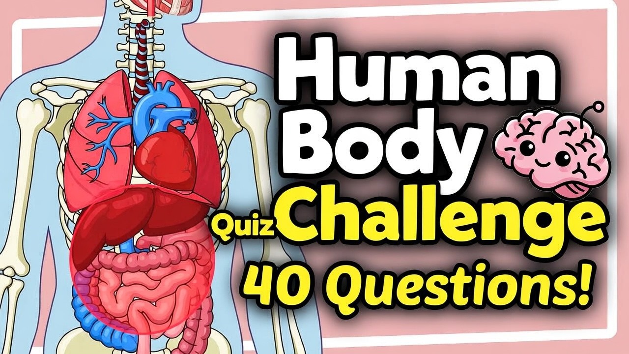 Only 1% Can Score 40/40 in This Human Body Quiz
