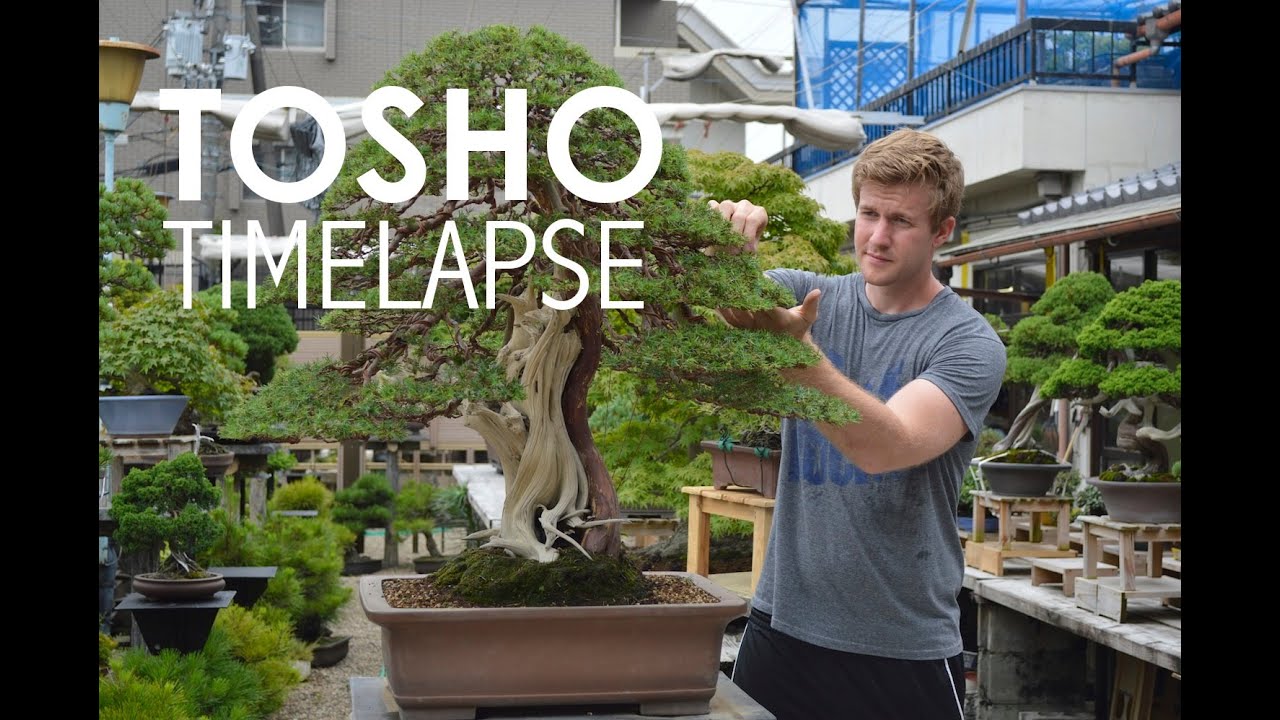 Tosho Timelapse