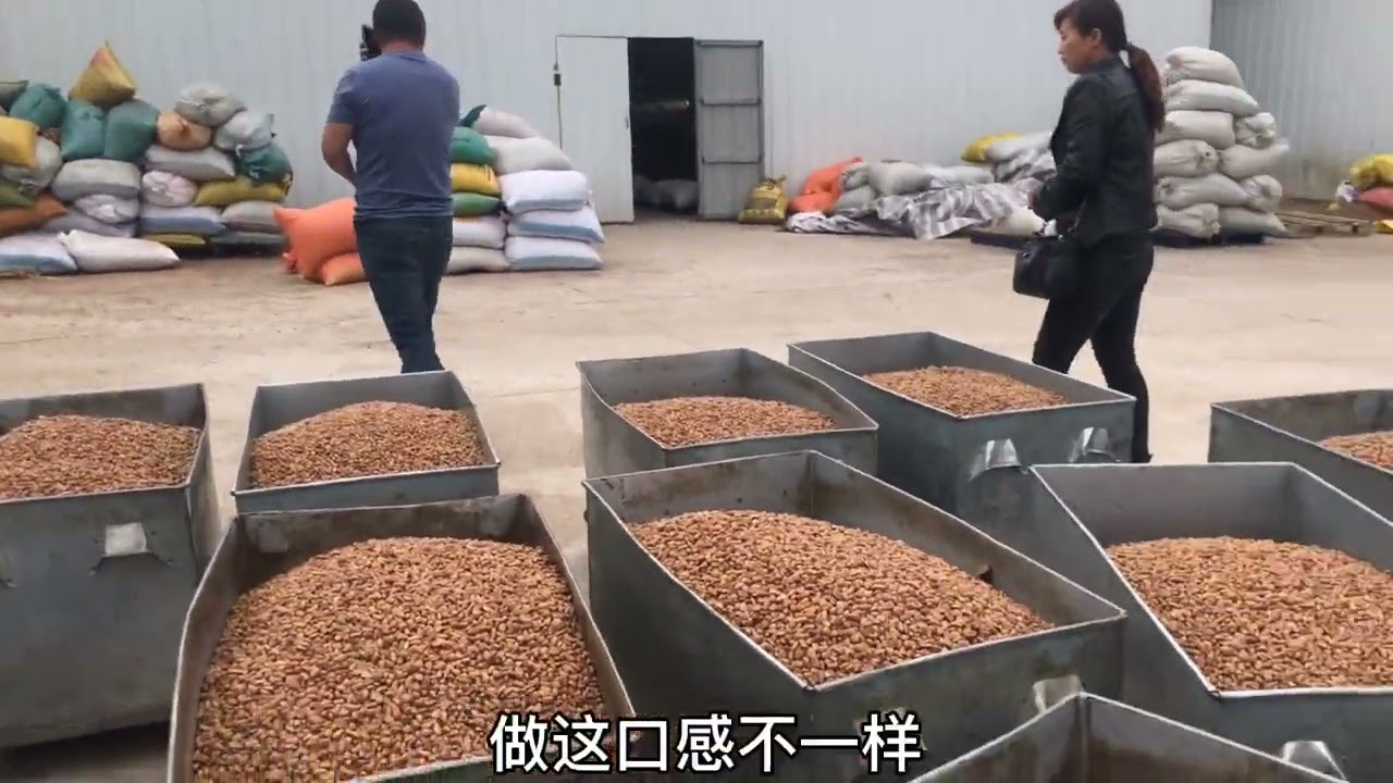 东北爷们去果仁厂，看看松子的加工过程，分物理笨炒和油炸开口