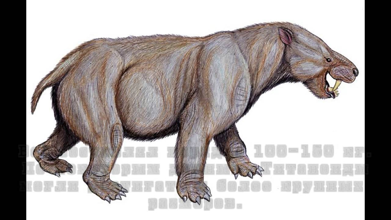 Титаноид  Titanoides primaevus